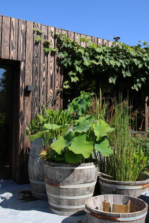 Clos Des Poulies La Ferté-Saint-Aubin Eksteriør billede